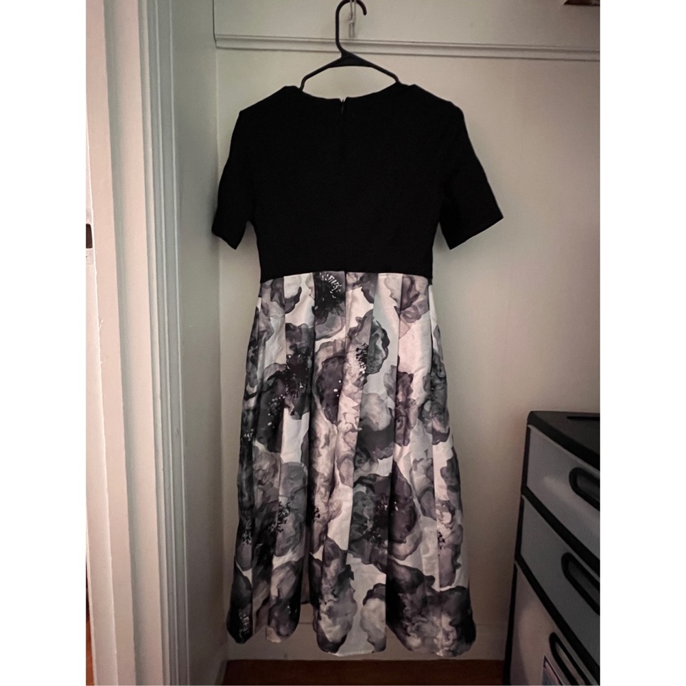 ink wash painting dress